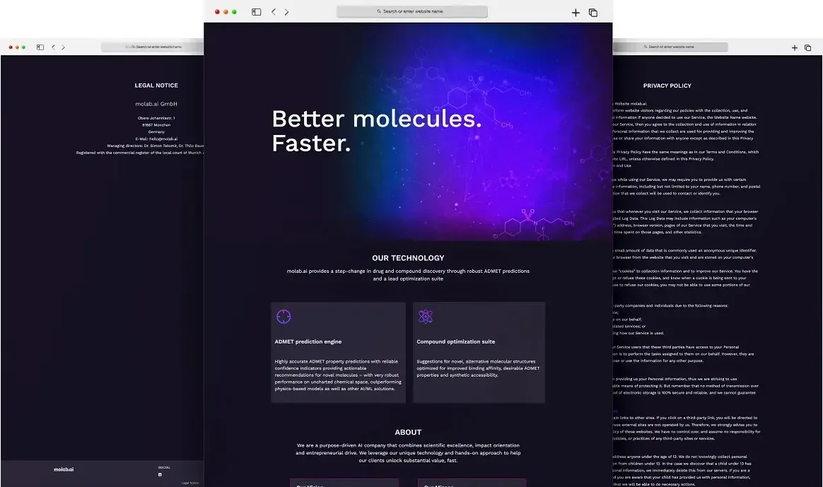 case study image - Molab.ai website